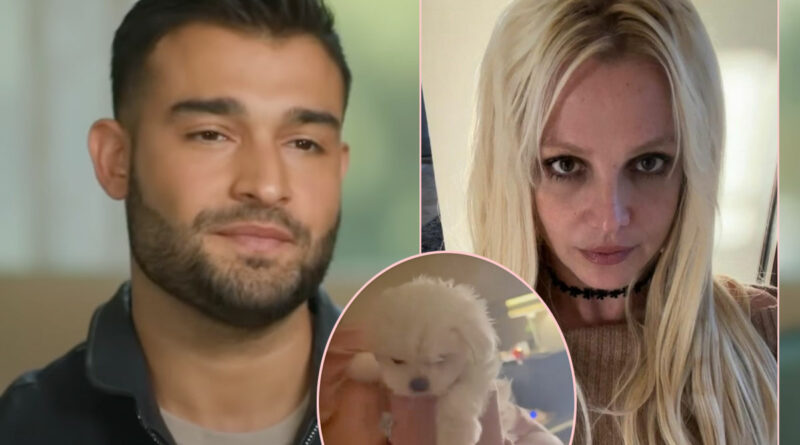 Did Sam Asghari Take A Jab At Britney Spears In A New PETA Campaign?!